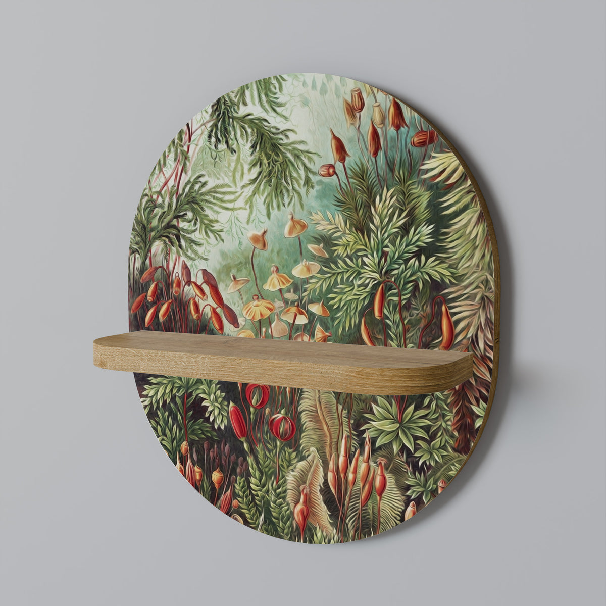 MUSCINAE LAUBMOOSE Estante Artístico