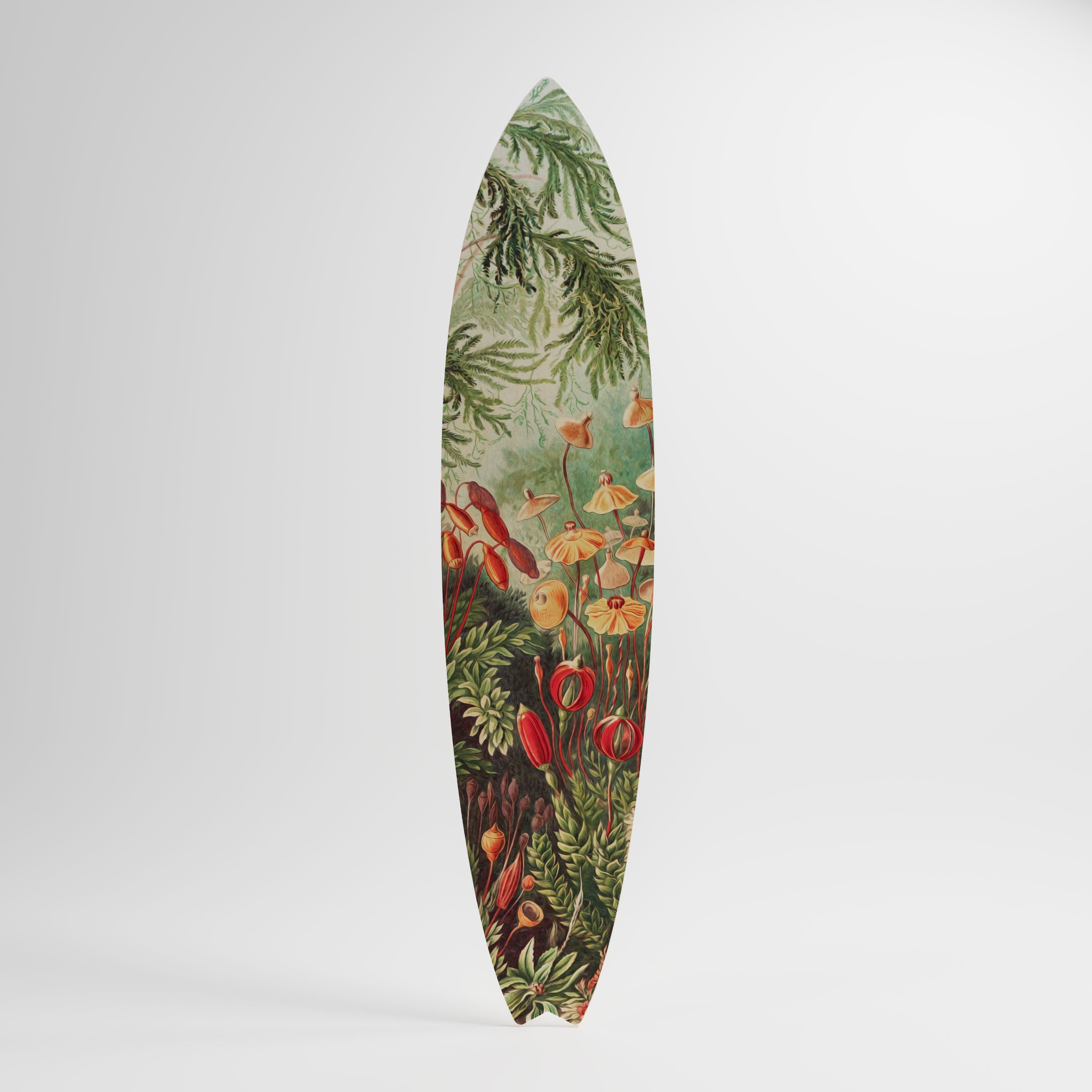 MUSCINAE LAUBMOOSE Panel decorativo de tabla de surf