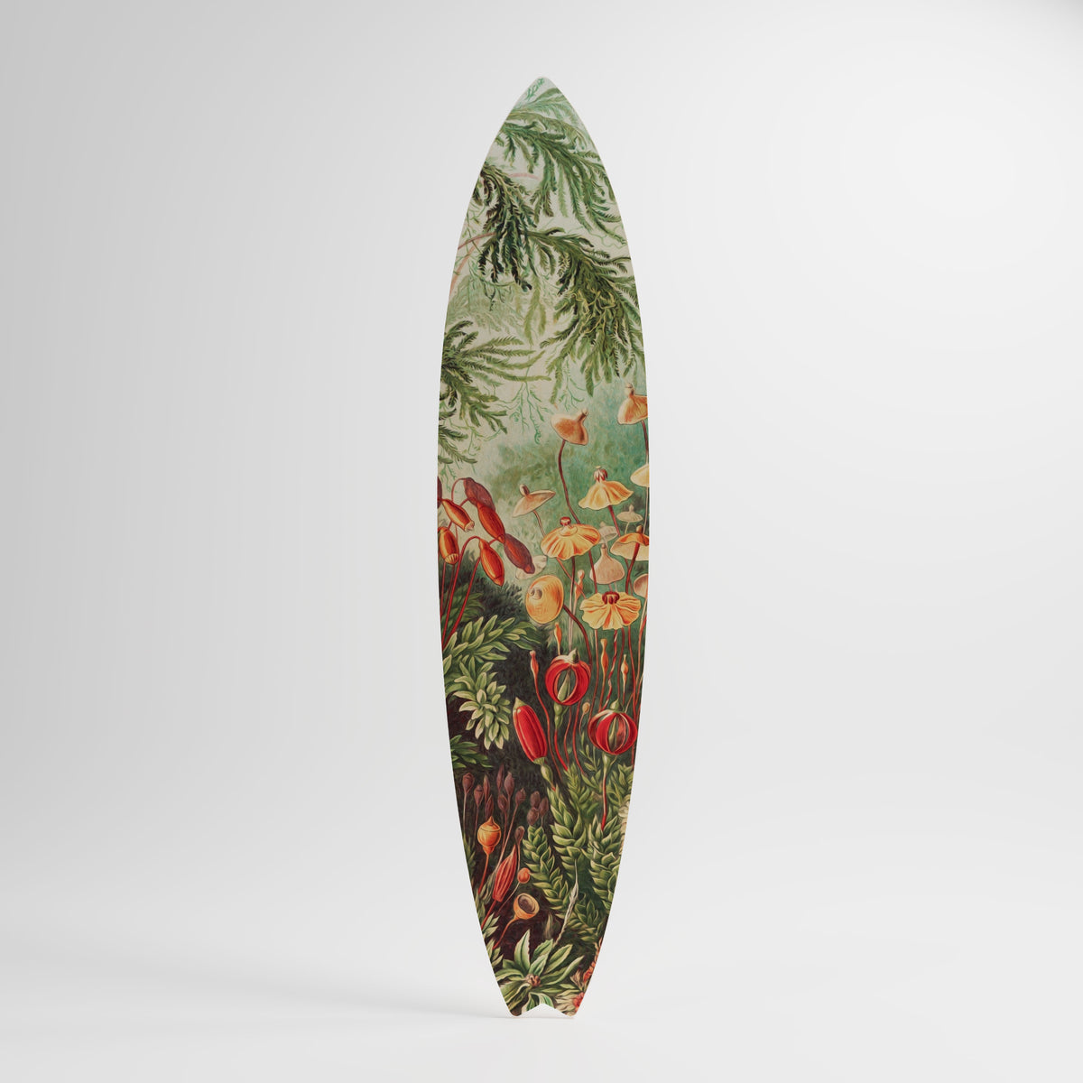 MUSCINAE LAUBMOOSE Surfboard Decorative Panel