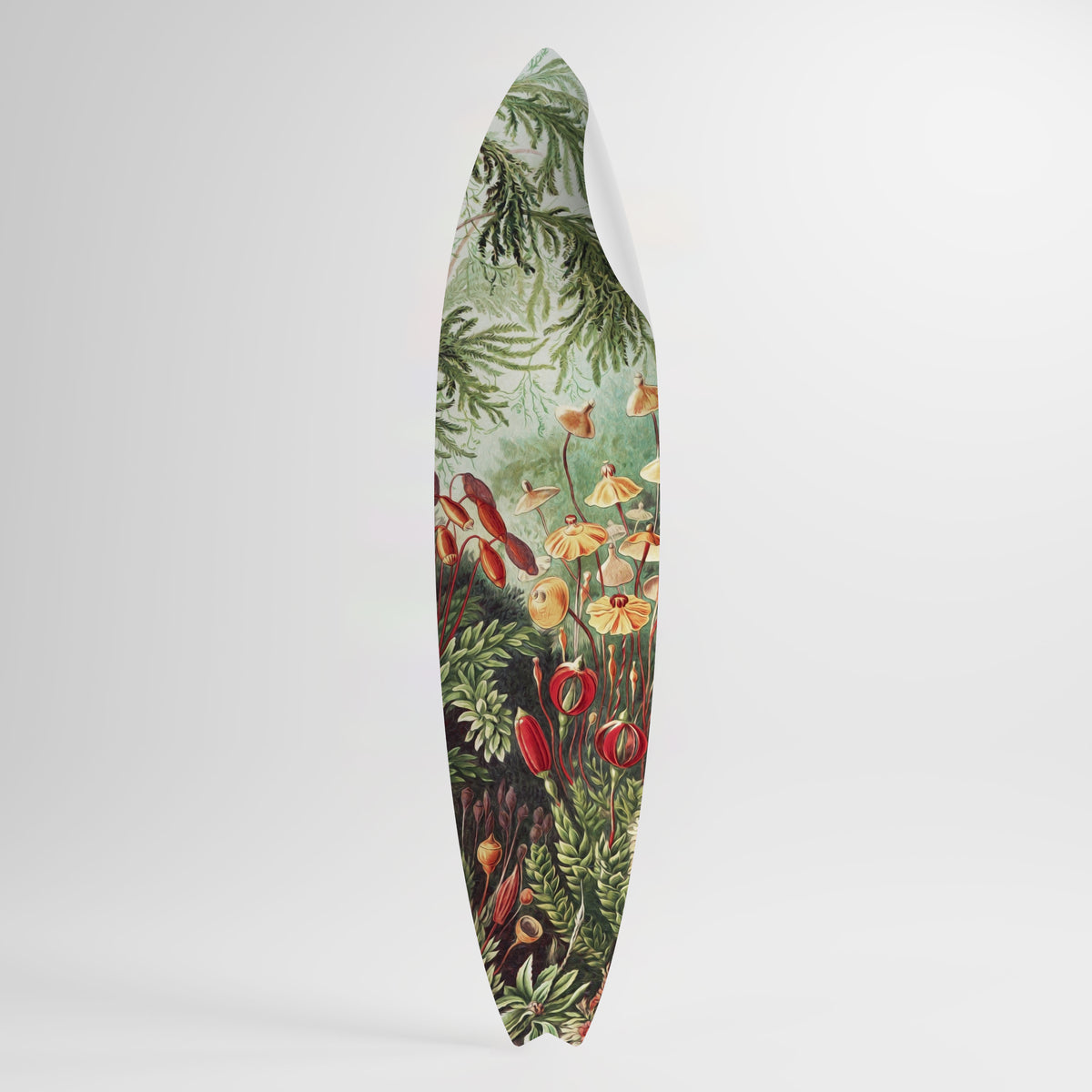 MUSCINAE LAUBMOOSE Peel and Stick Surfboard Sticker