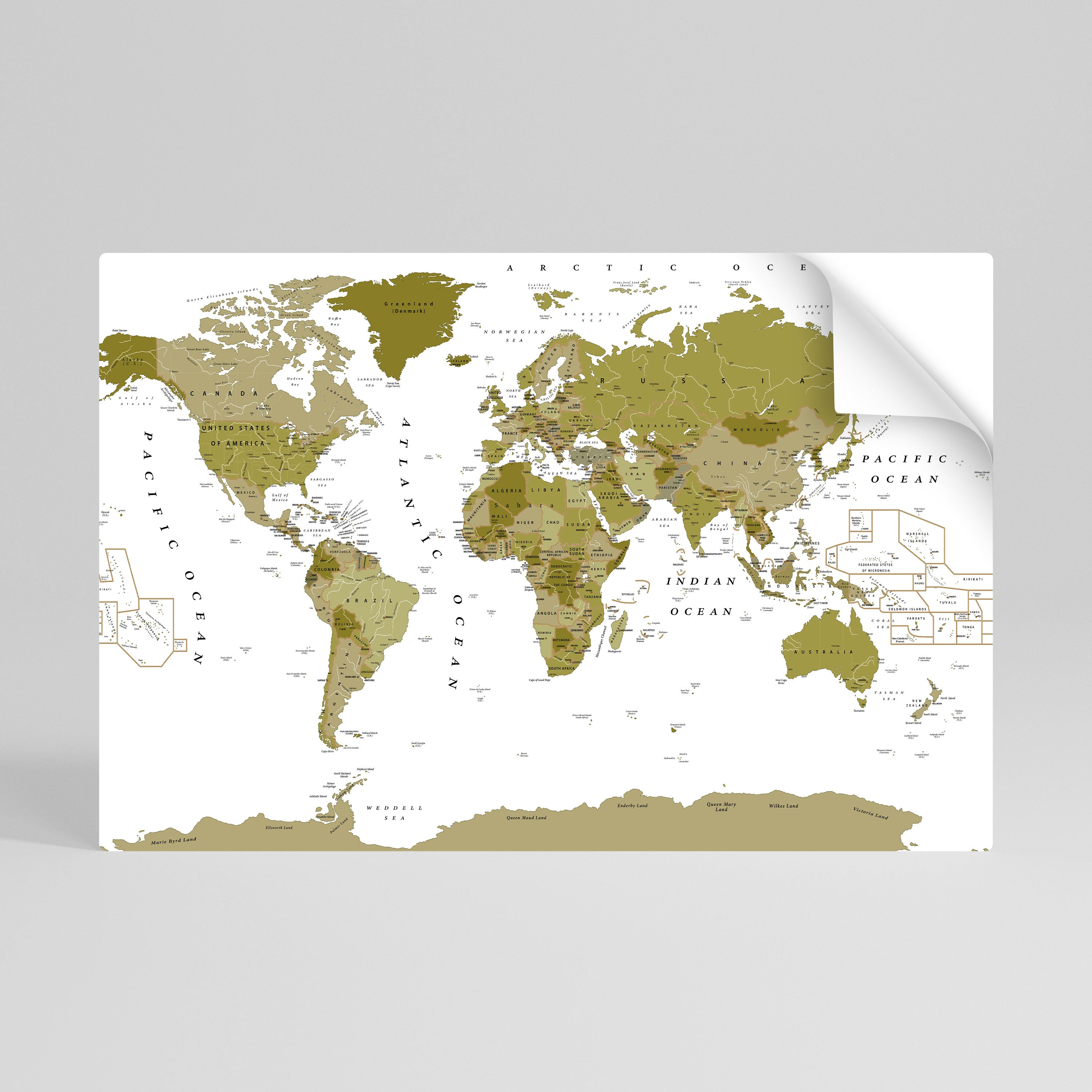 OLIVE EARTH ENCHANTMENT Peel and Stick Horizontal Poster