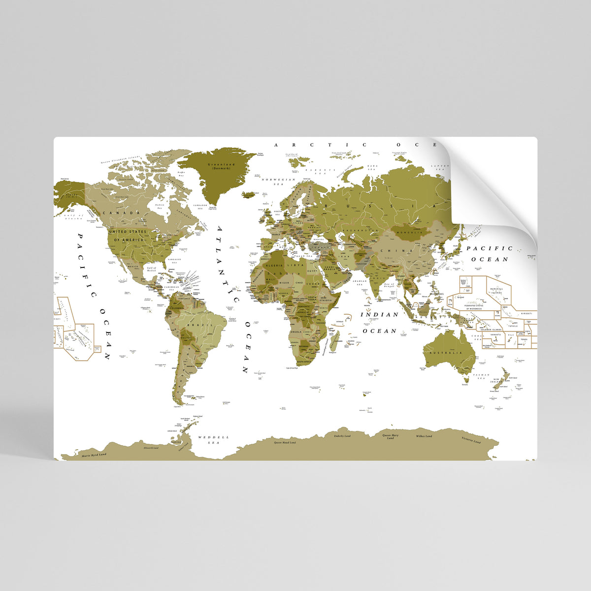 OLIVE EARTH ENCHANTMENT Póster adhesivo horizontal