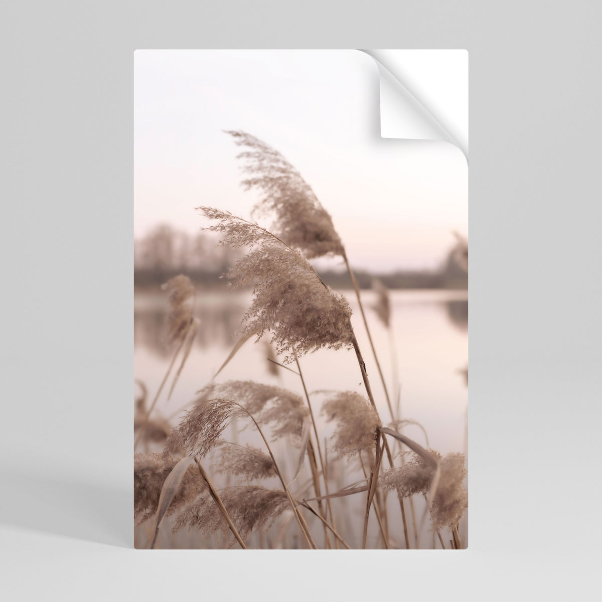 GENTLE BREEZE Póster adhesivo vertical