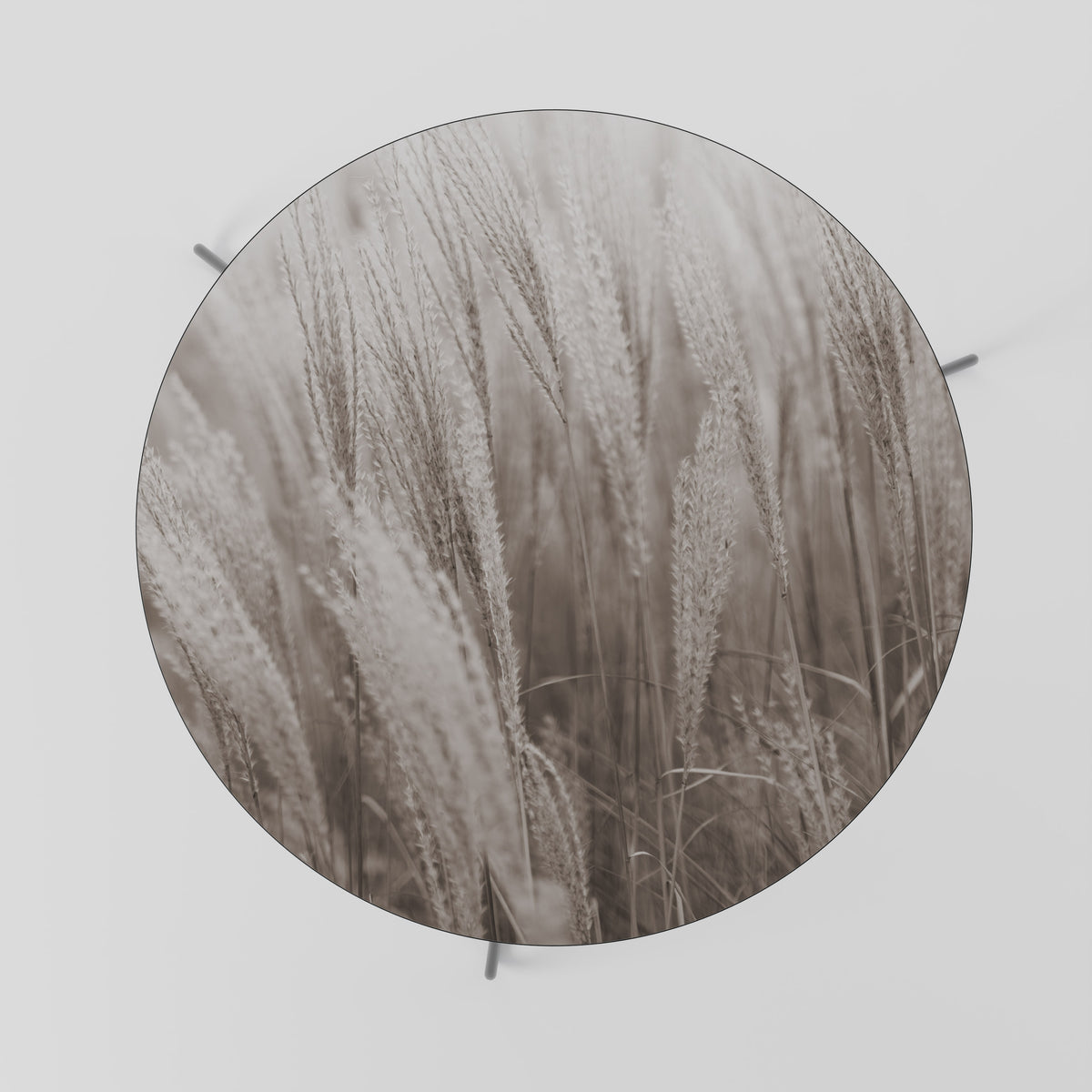 WHISPERS OF GRASS Mesa de centro