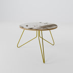 TIMELESS TUSSOCKS Coffee Table 60