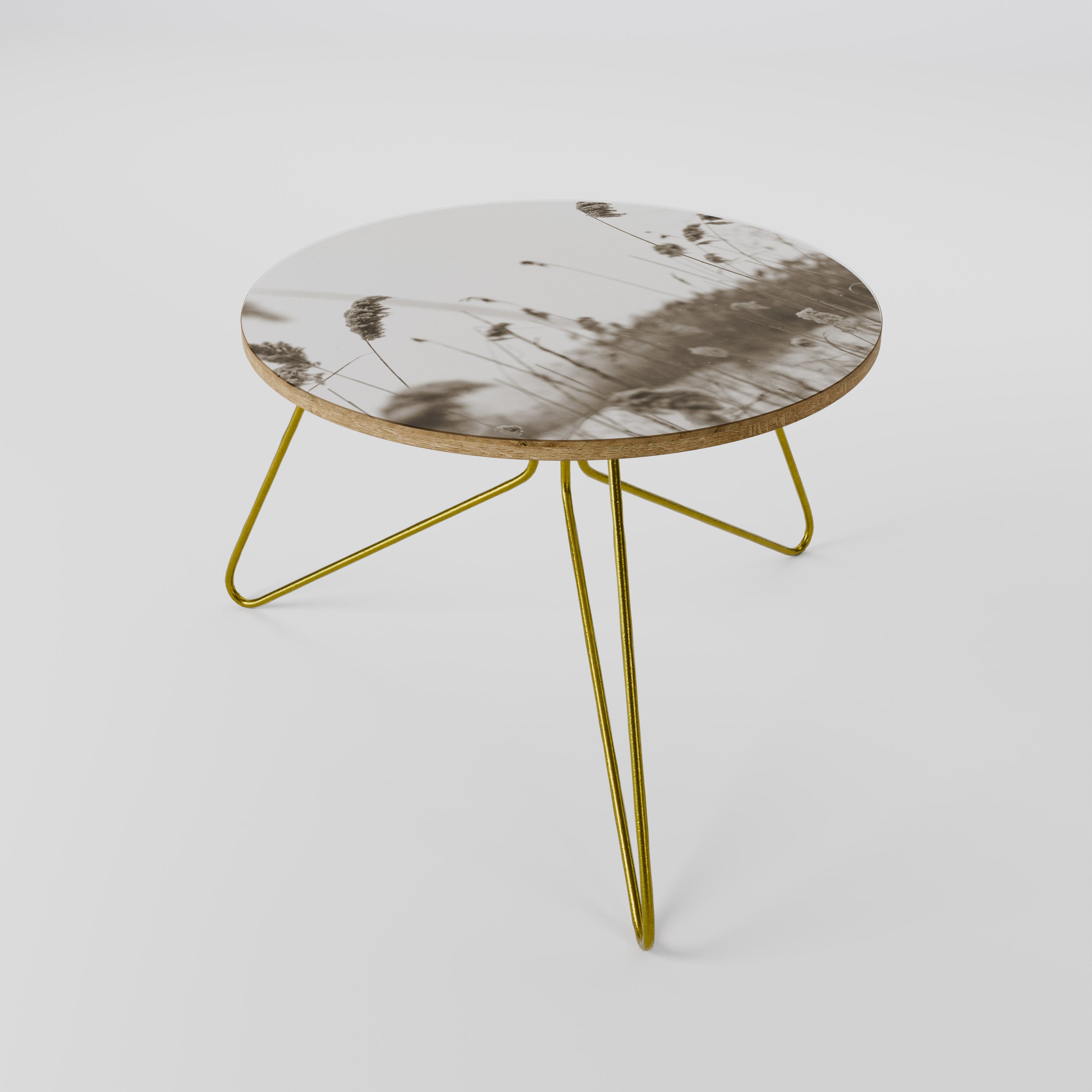 TIMELESS TUSSOCKS Coffee Table