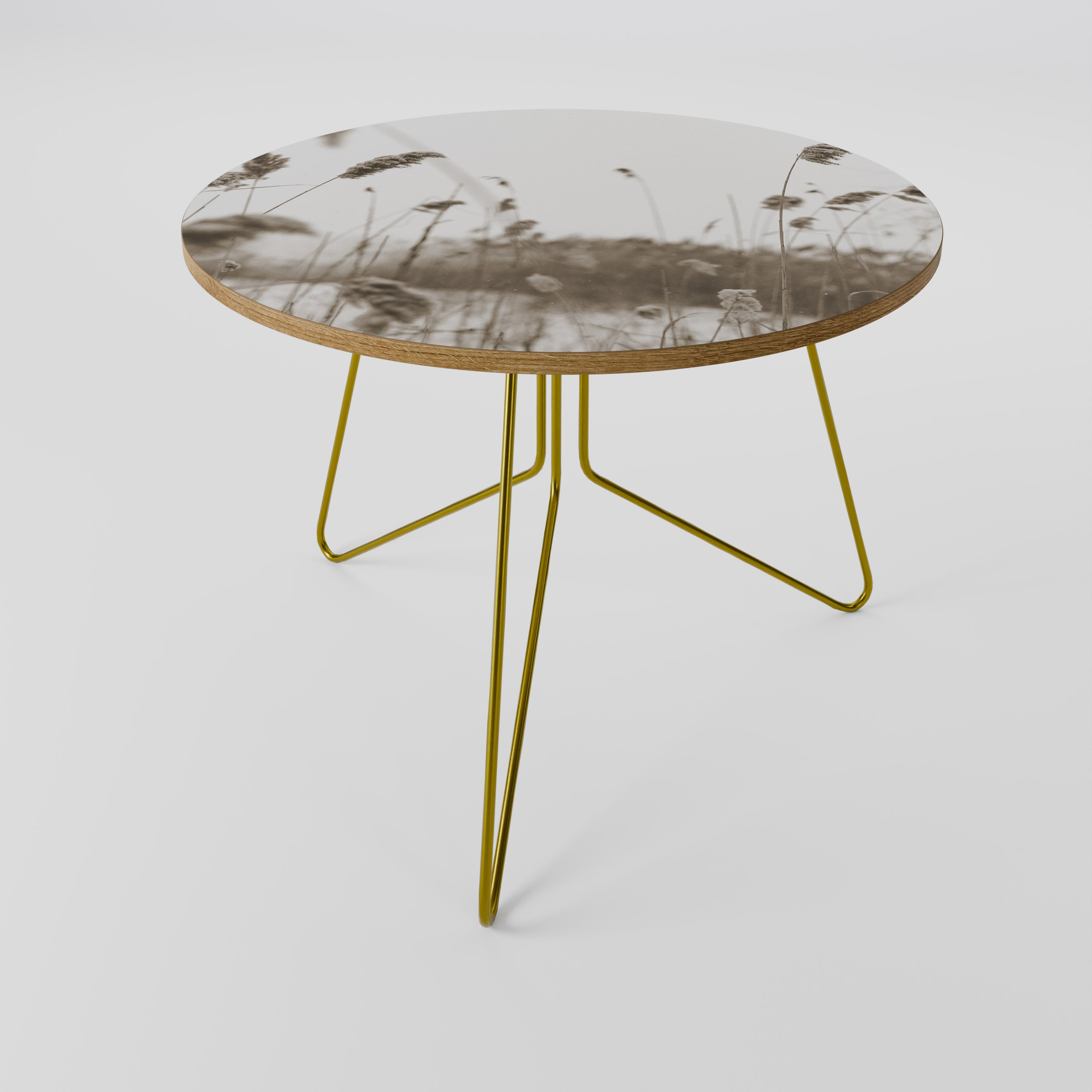 TIMELESS TUSSOCKS Coffee Table