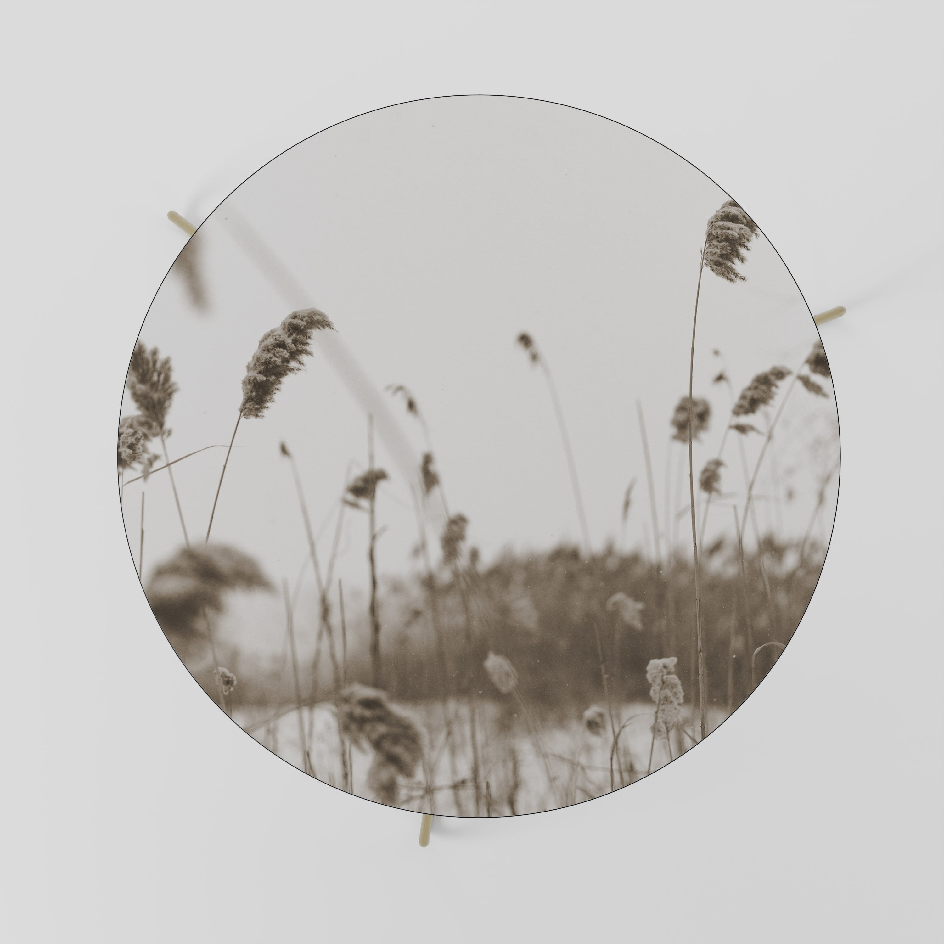 Mesa de centro TIMELESS TUSSOCKS 69