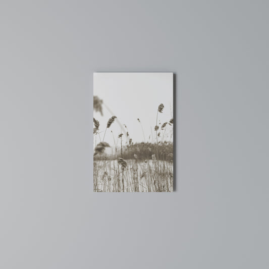 TIMELESS TUSSOCKS Vertical Canvas Print