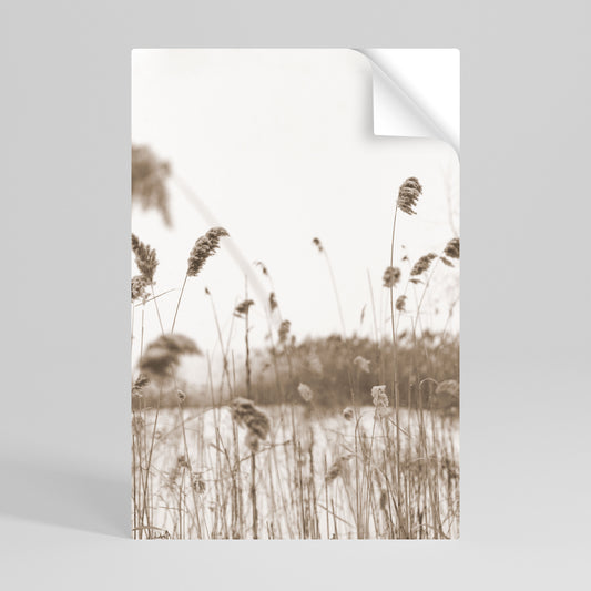 TIMELESS TUSSOCKS Póster adhesivo vertical
