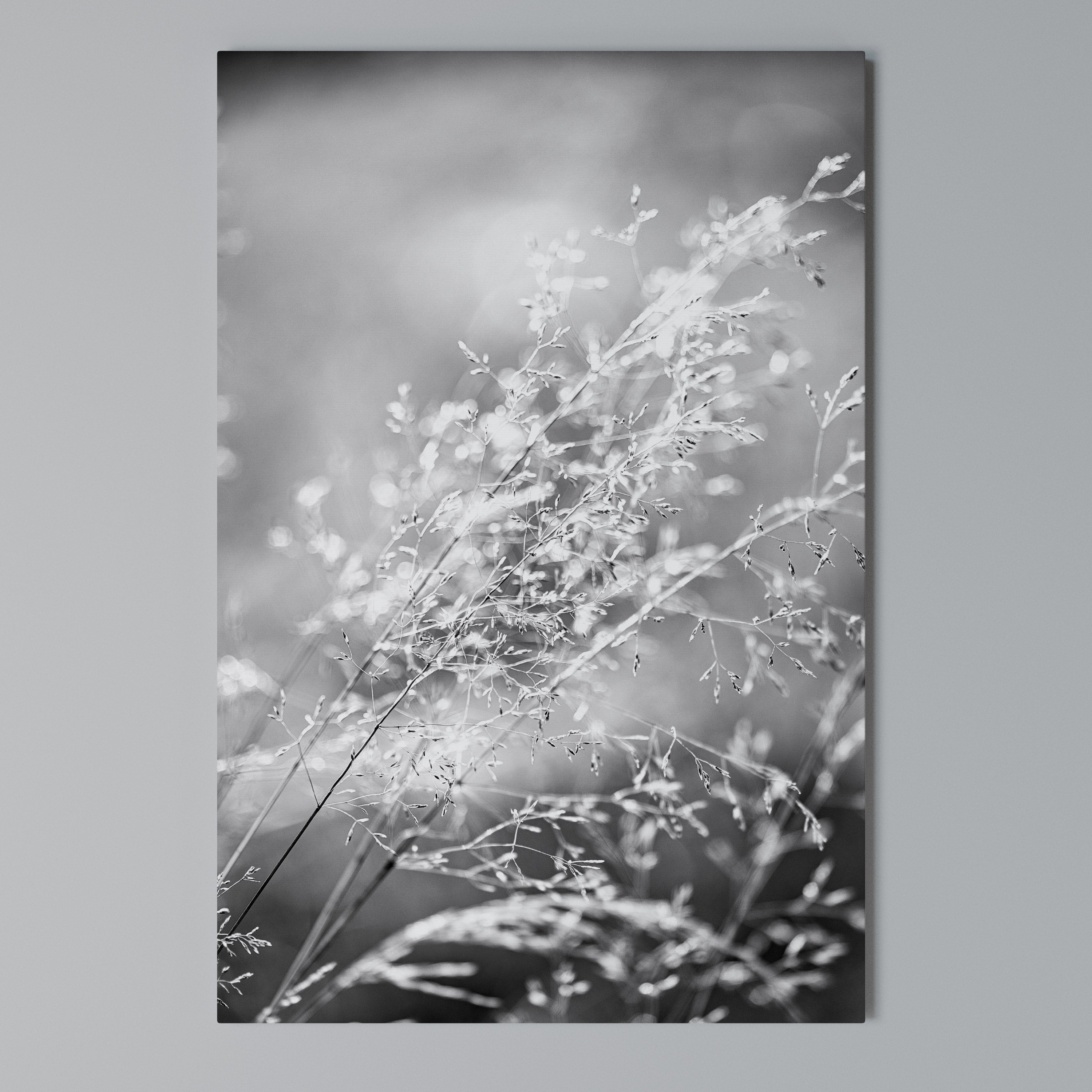 LIGHTSWEPT HARMONY Vertical Canvas Print