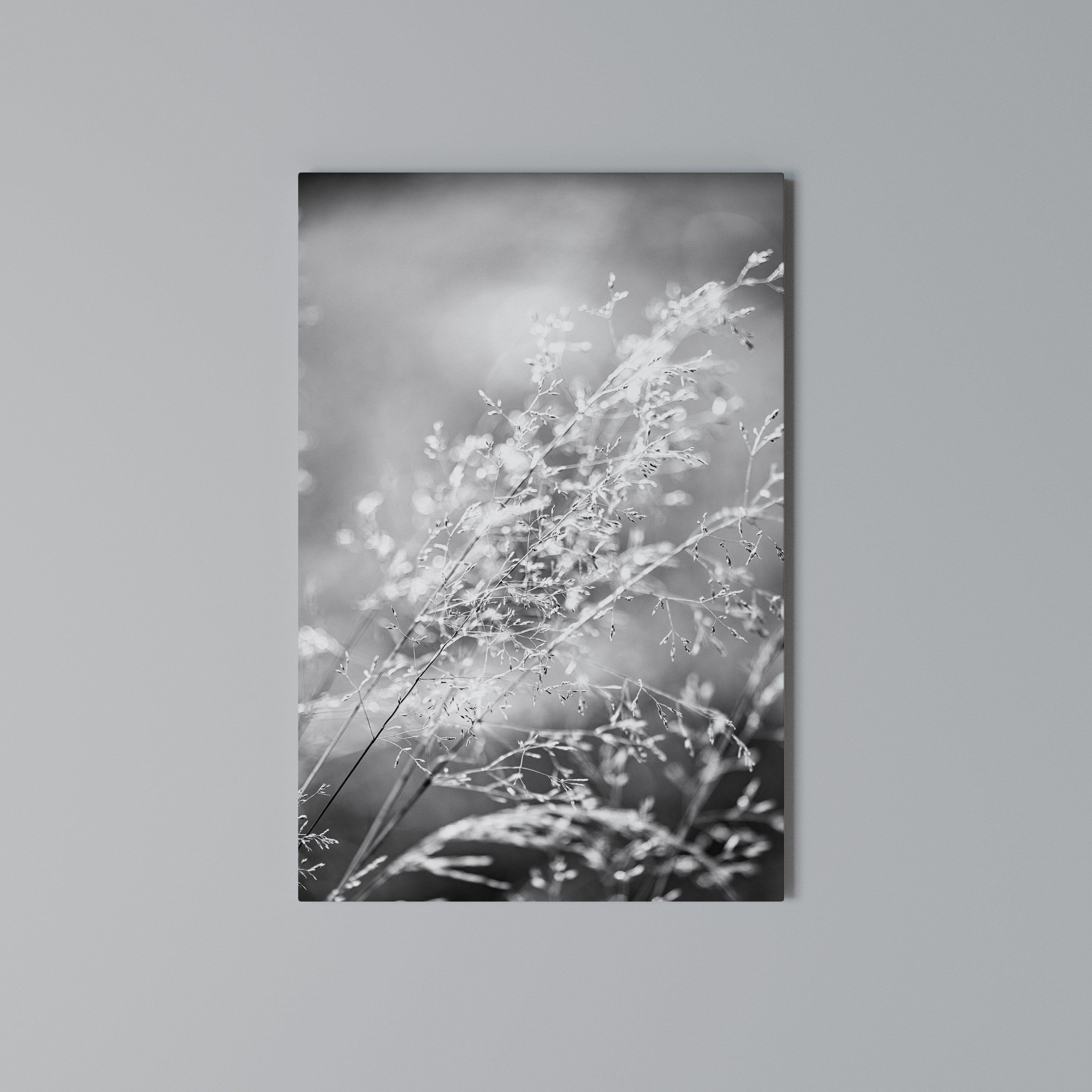 LIGHTSWEPT HARMONY Vertical Canvas Print