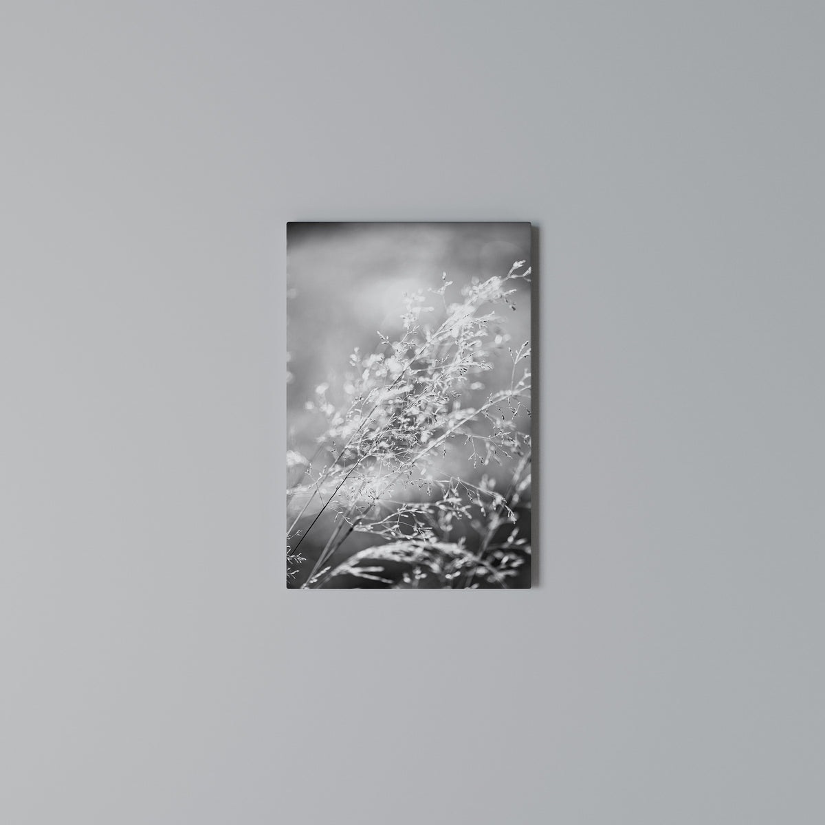 LIGHTSWEPT HARMONY Cuadro en lienzo vertical