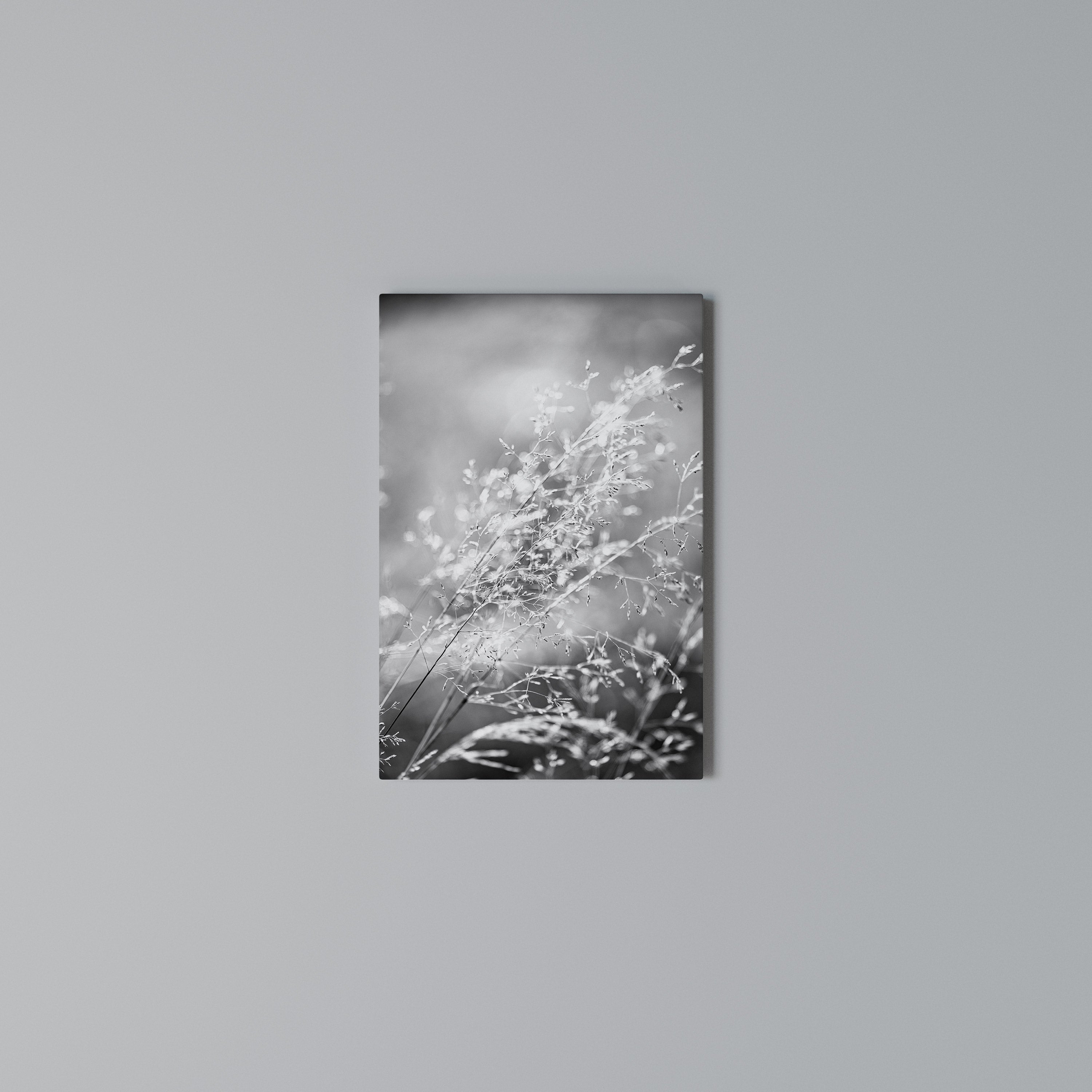 LIGHTSWEPT HARMONY Vertical Canvas Print