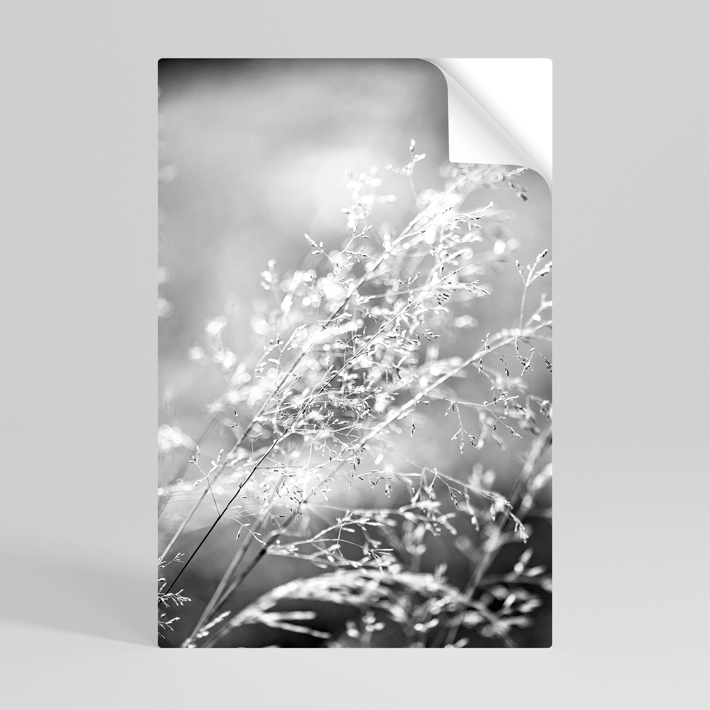 LIGHTSWEPT HARMONY Peel and Stick Vertical Poster