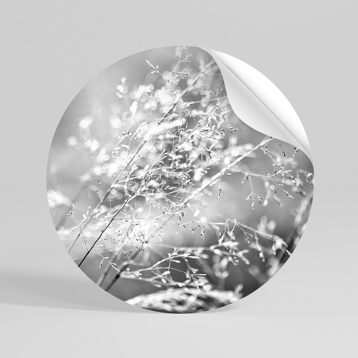 LIGHTSWEPT HARMONY Vinilo adhesivo redondo