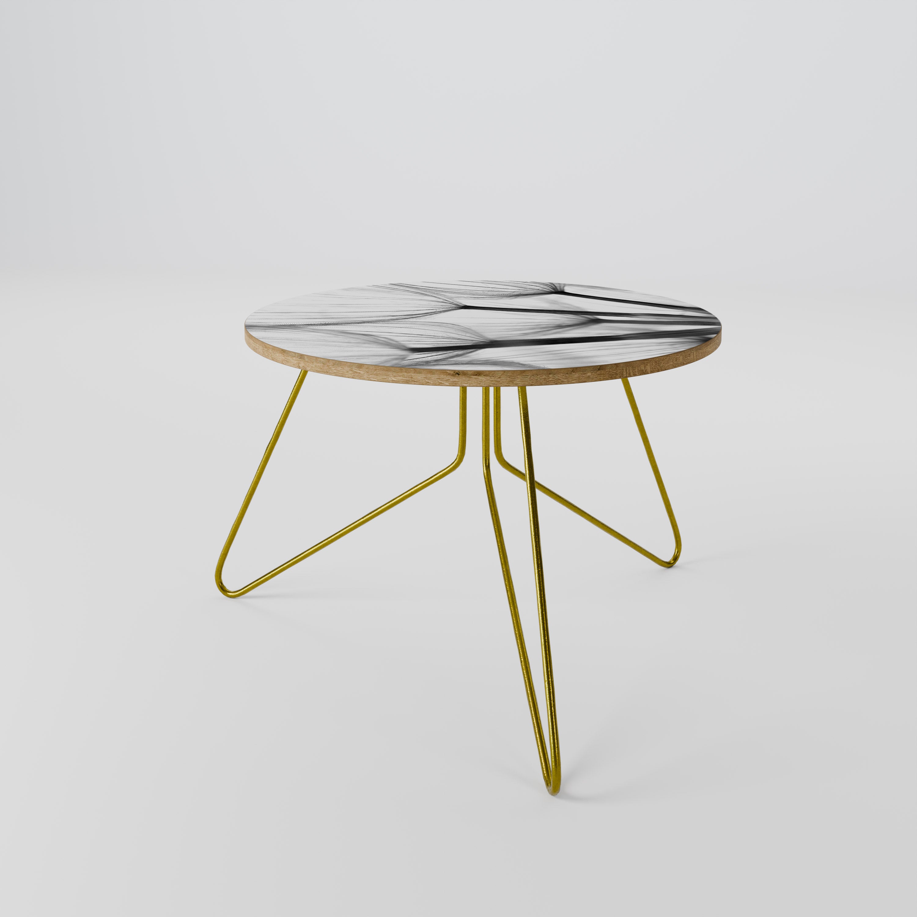 SILKEN FLIGHT Coffee Table