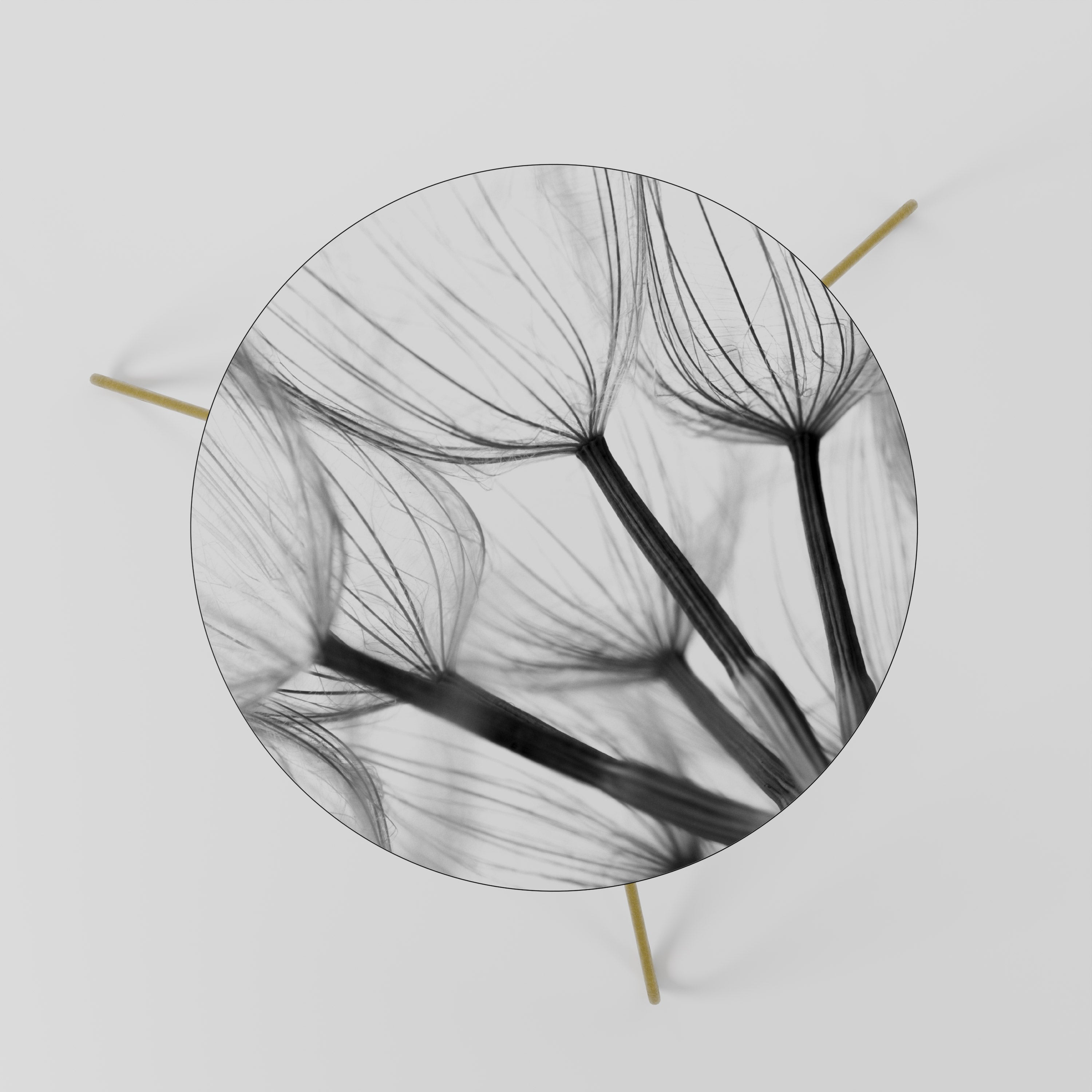 SILKEN FLIGHT Coffee Table 60