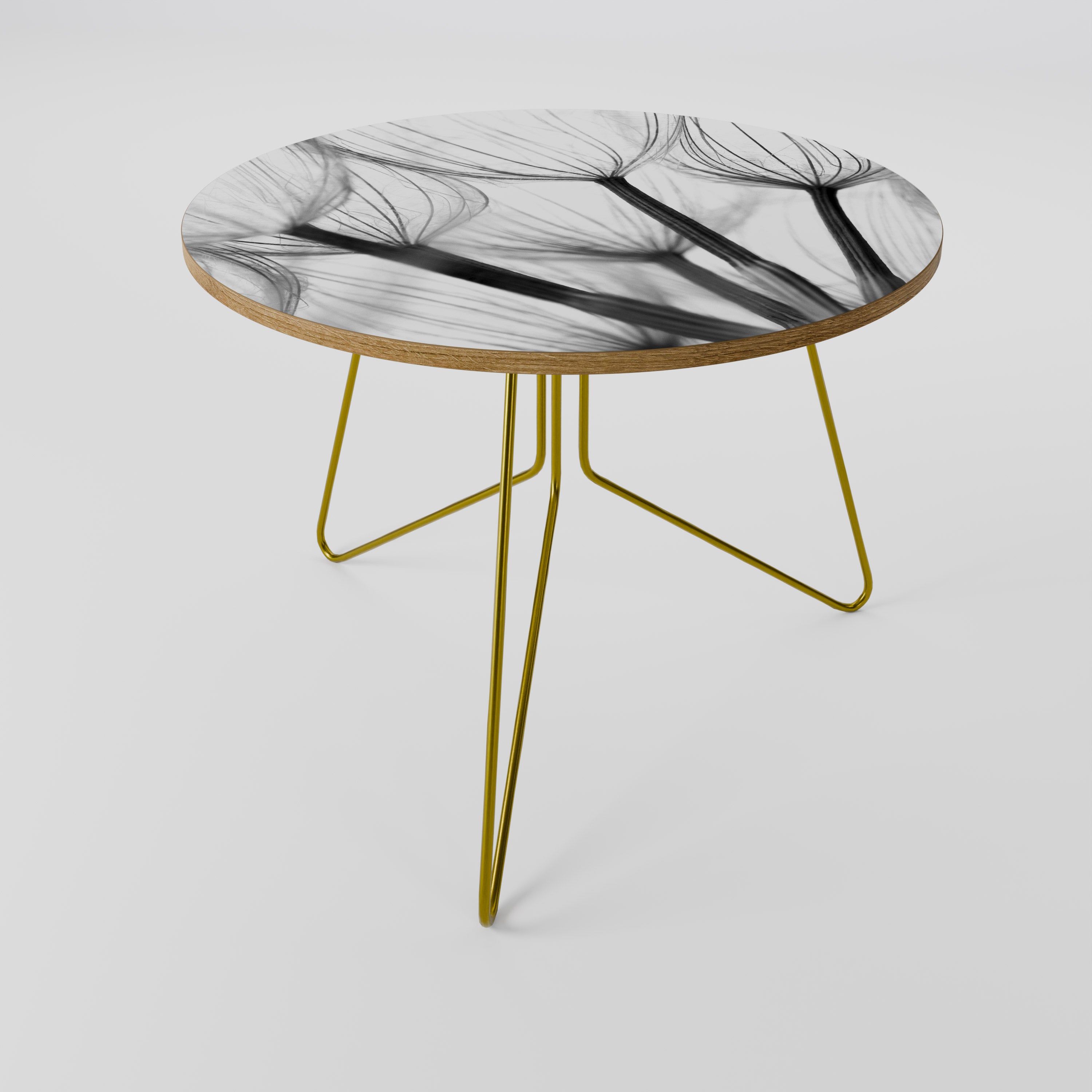 SILKEN FLIGHT Coffee Table