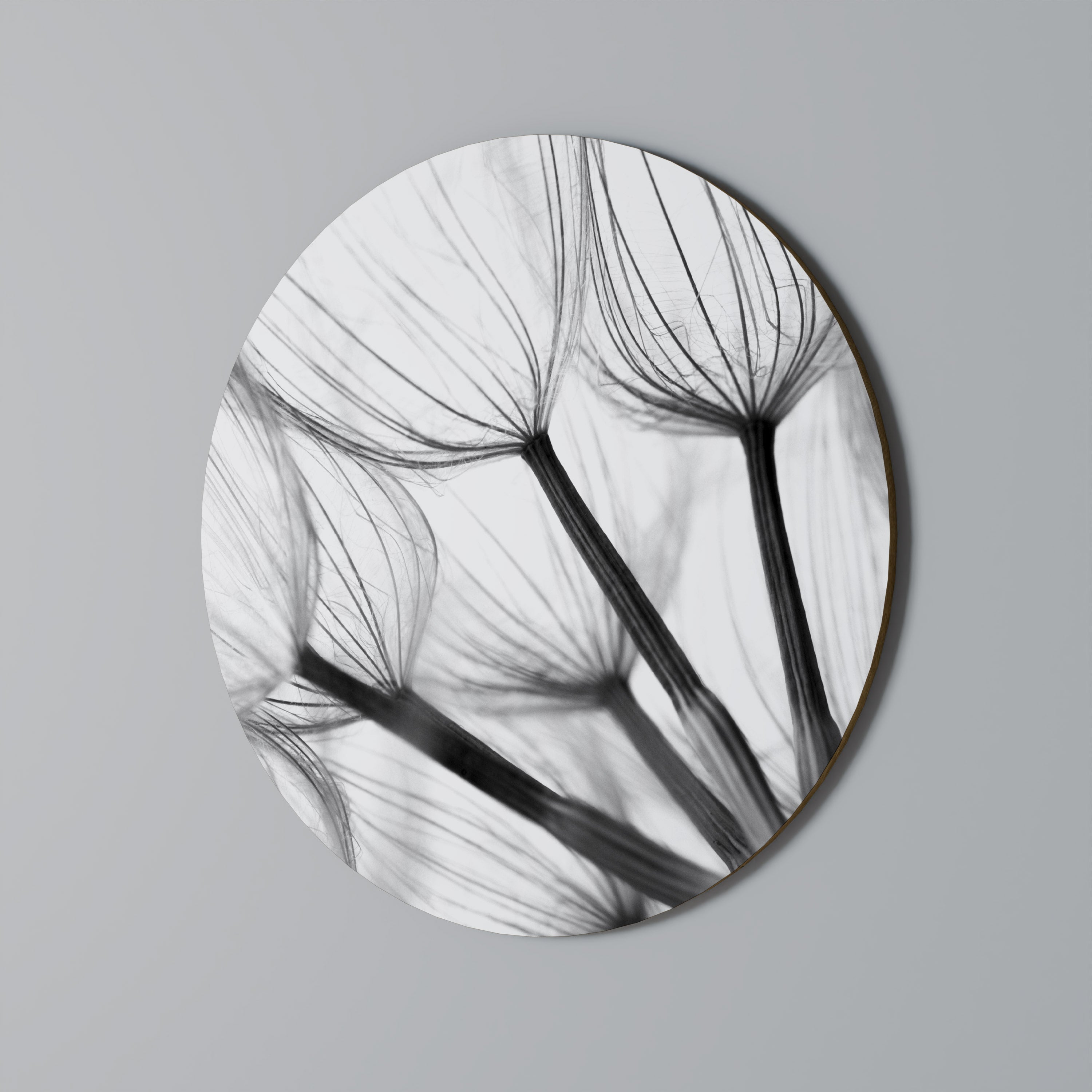 SILKEN FLIGHT Round Wall Art
