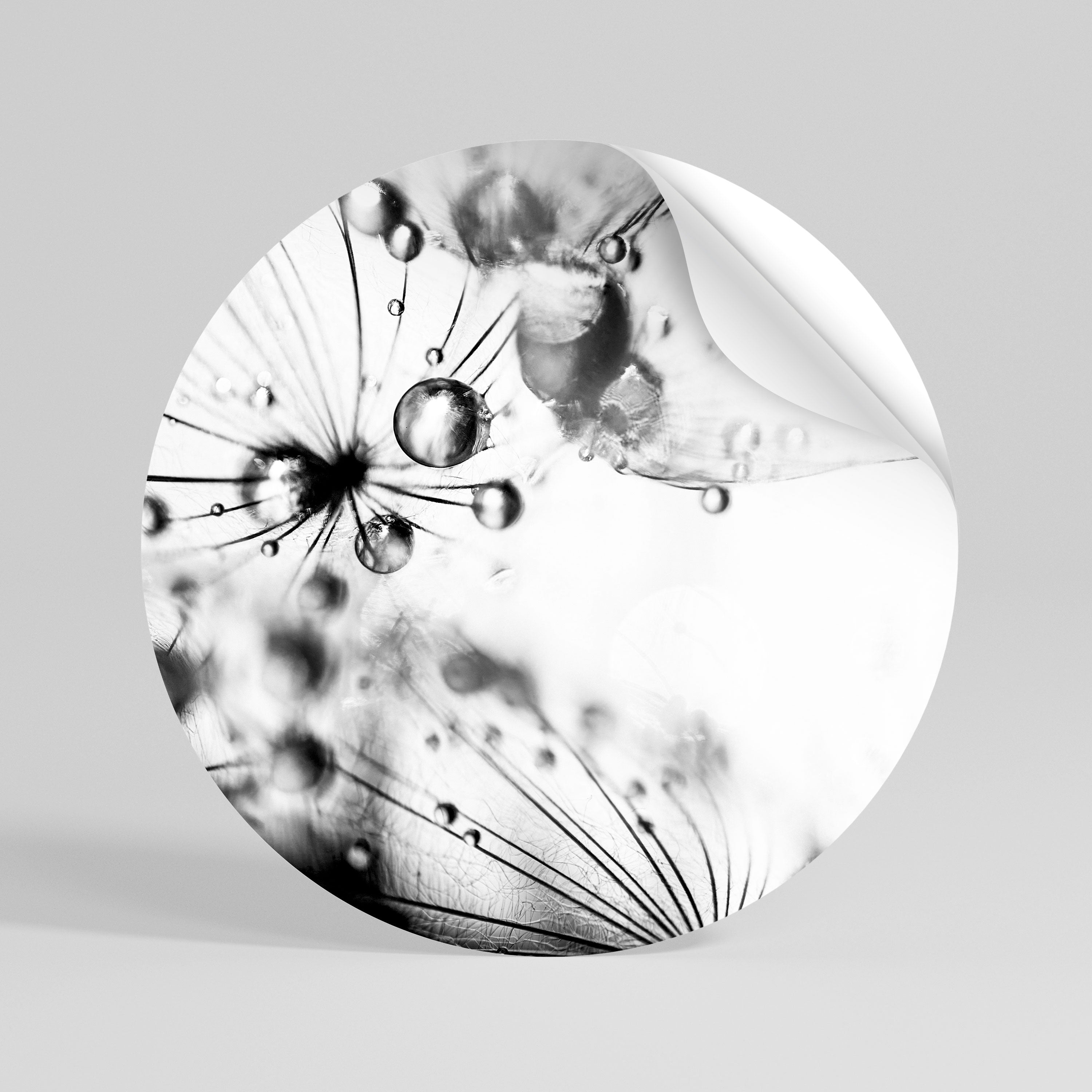 ELEGANT DROPLETS Vinilo adhesivo redondo