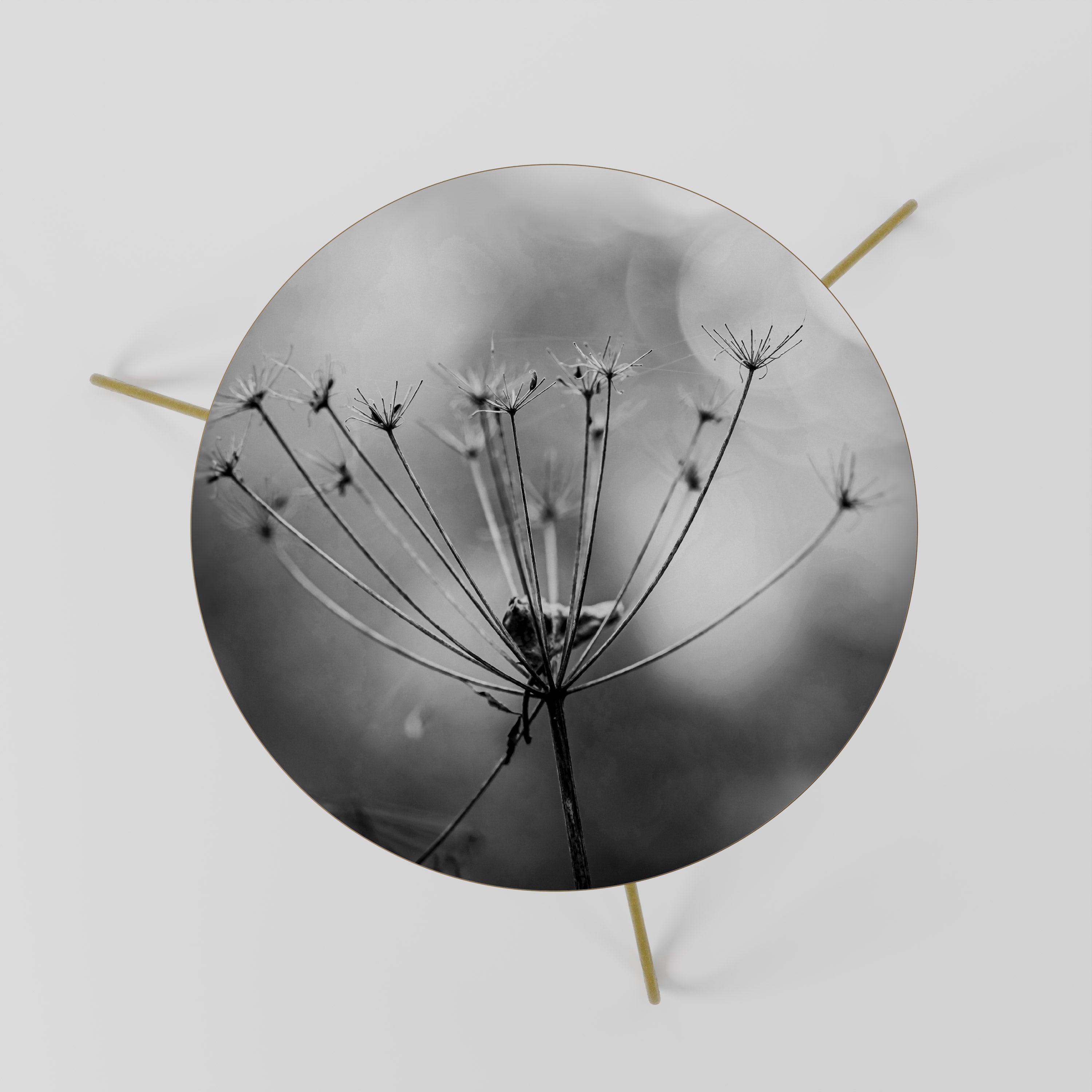 MINIMALIST BLOOM Coffee Table 60