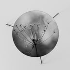 MINIMALIST BLOOM Mesa de Centro Ø60