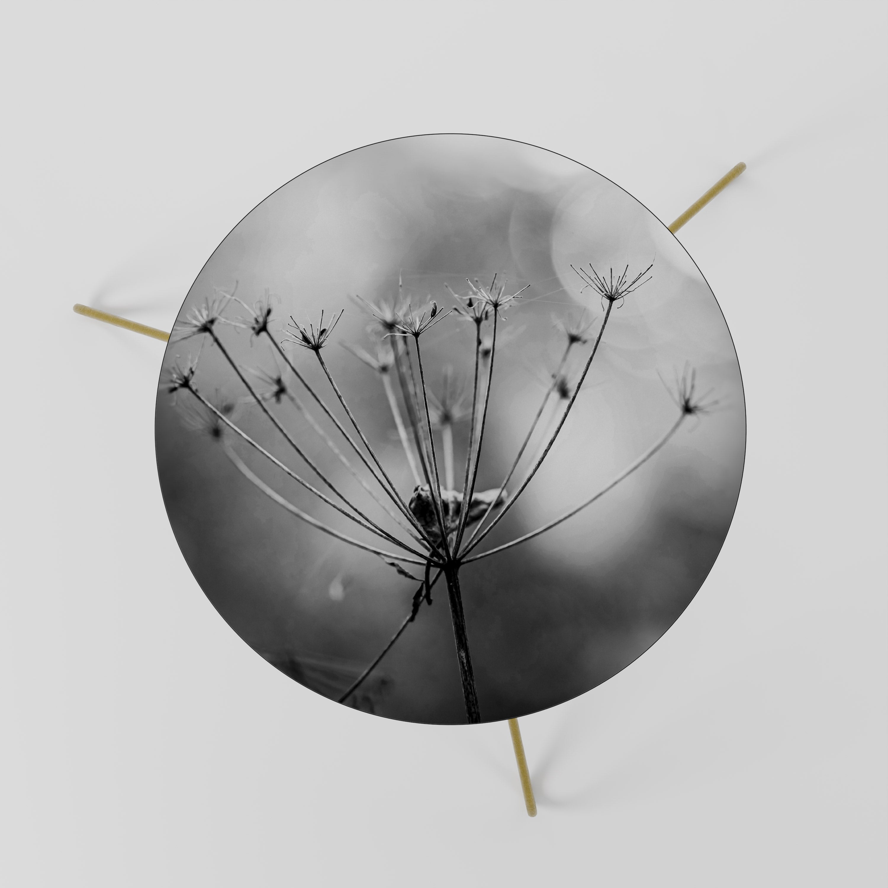 MINIMALIST BLOOM Coffee Table 60