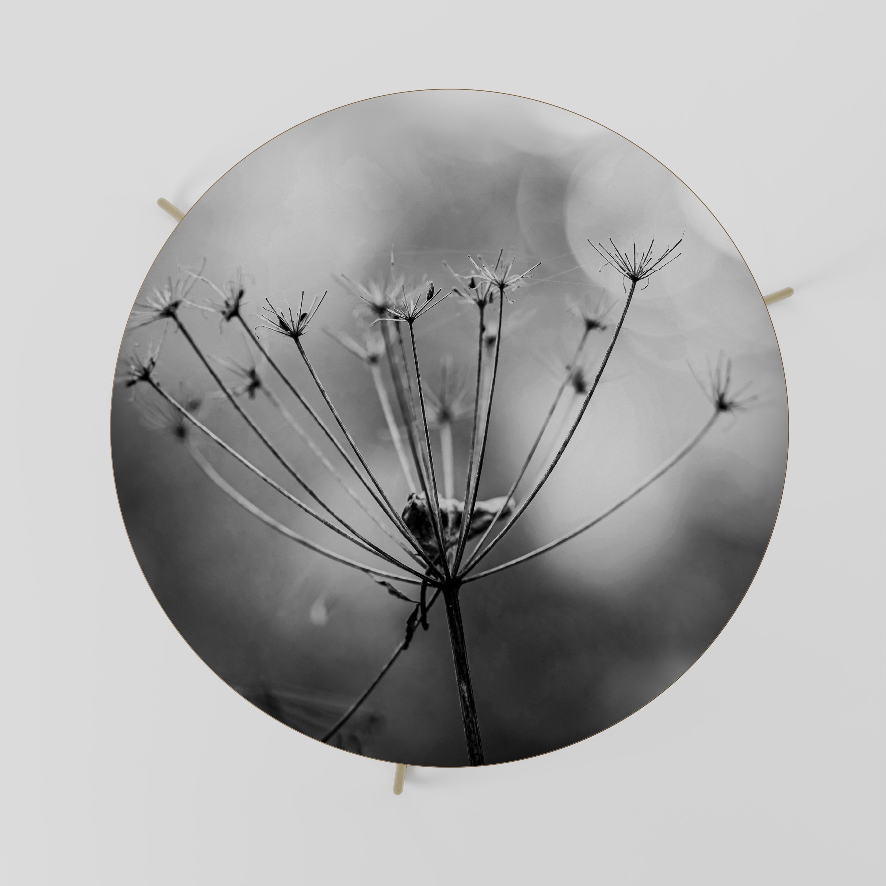 Mesa de centro minimalista Bloom 69