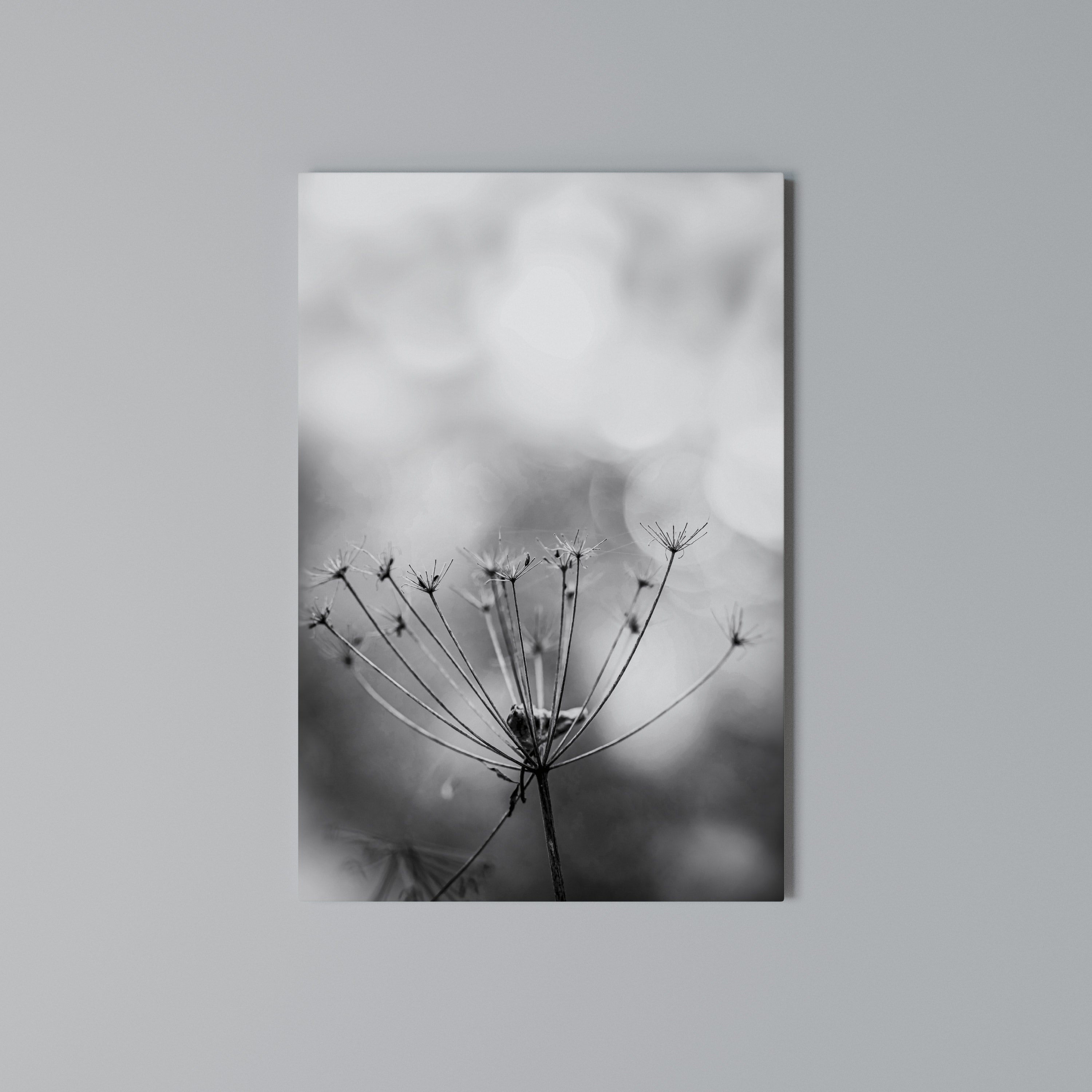 MINIMALIST BLOOM Vertical Canvas Print