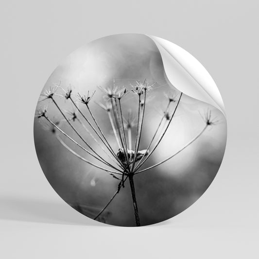 MINIMALIST BLOOM Vinilo adhesivo redondo