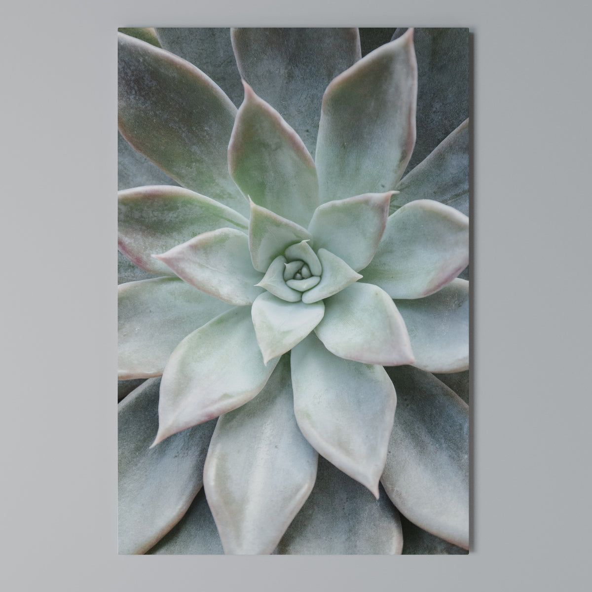 GEOMETRIC GARDEN MAGIC Cuadro en lienzo vertical