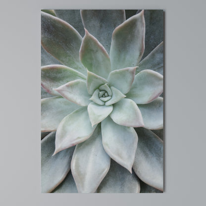 GEOMETRIC GARDEN MAGIC Cuadro en lienzo vertical