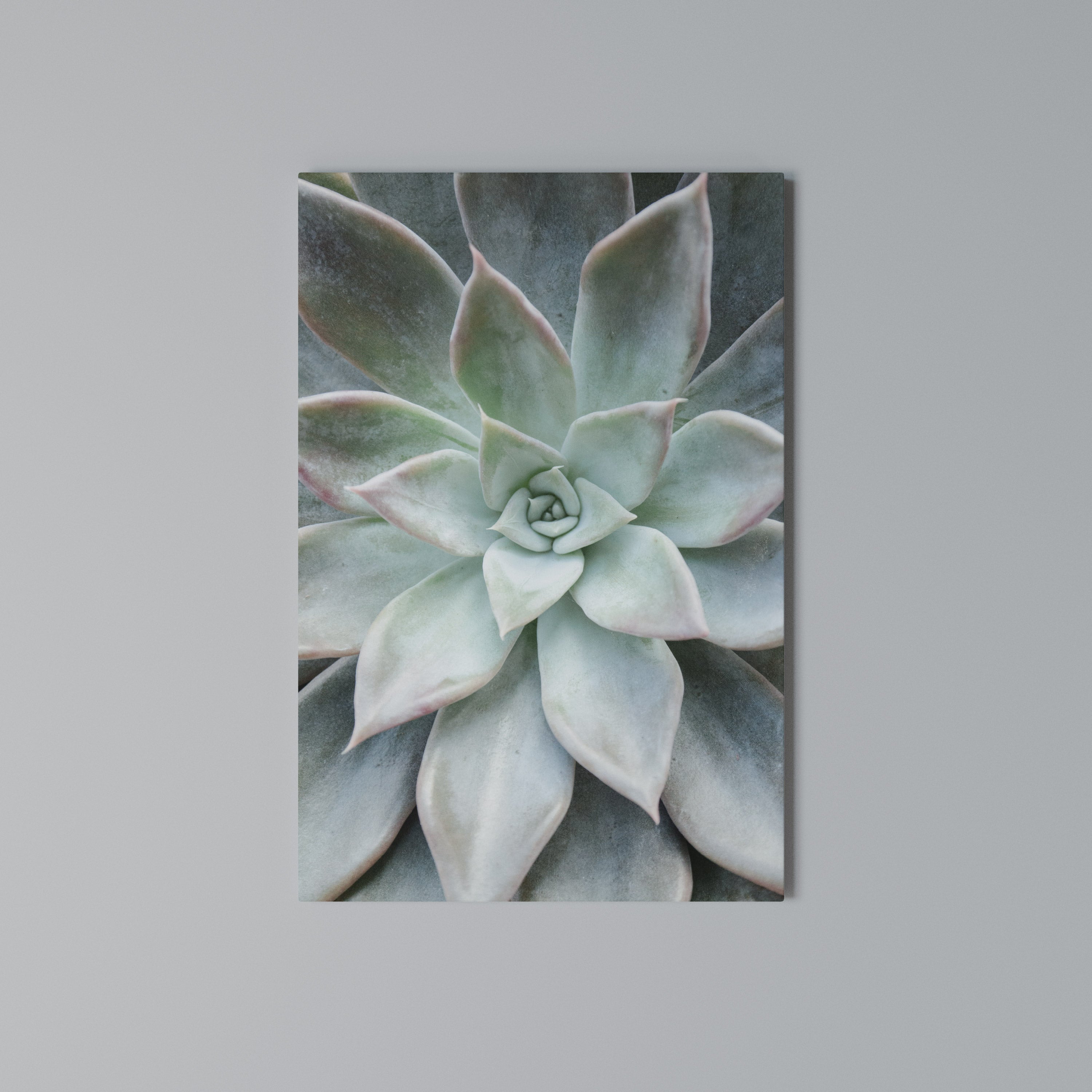 GEOMETRIC GARDEN MAGIC Vertical Canvas Print