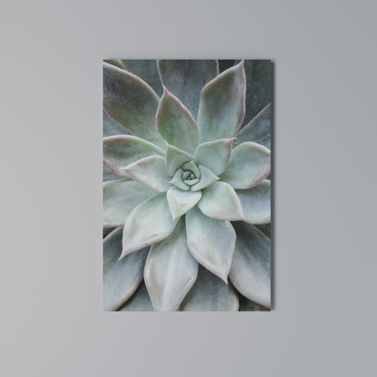 GEOMETRIC GARDEN MAGIC Cuadro en lienzo vertical