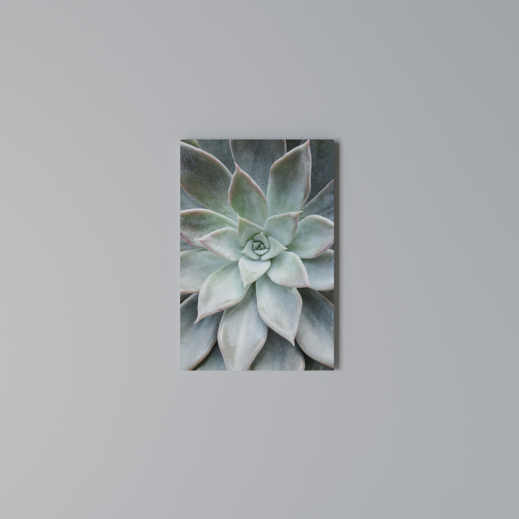 GEOMETRIC GARDEN MAGIC Cuadro en lienzo vertical