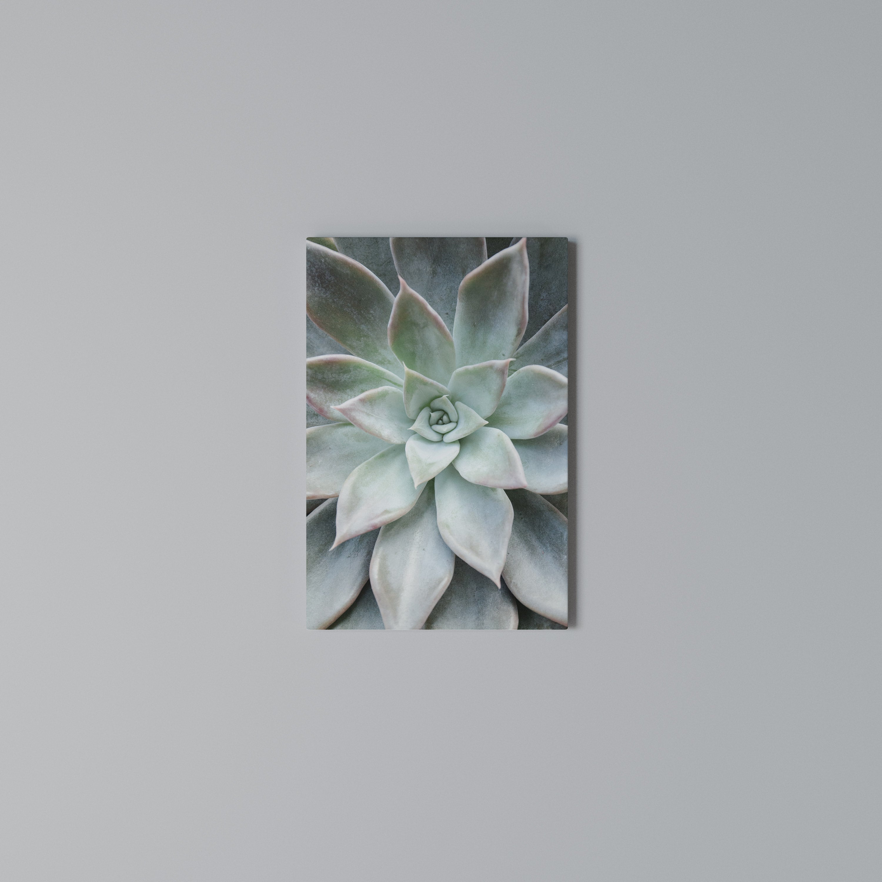 GEOMETRIC GARDEN MAGIC Cuadro en lienzo vertical