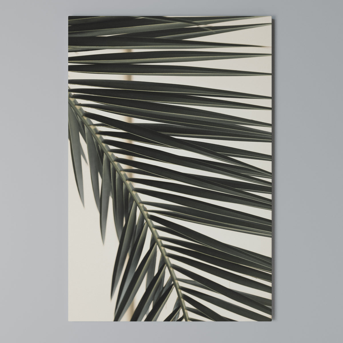 PALM SYMPHONY Vertical Canvas Print