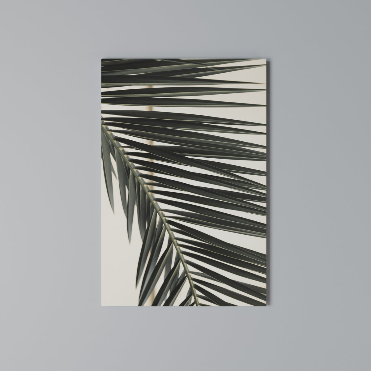PALM SYMPHONY Vertical Canvas Print
