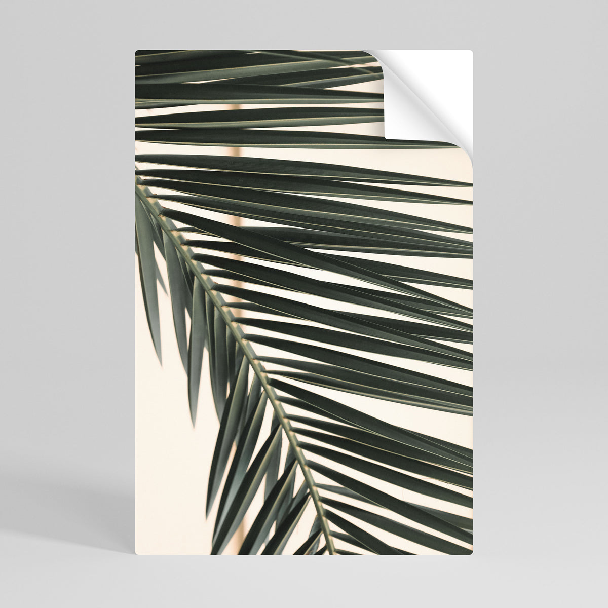 PALM SYMPHONY Póster adhesivo vertical