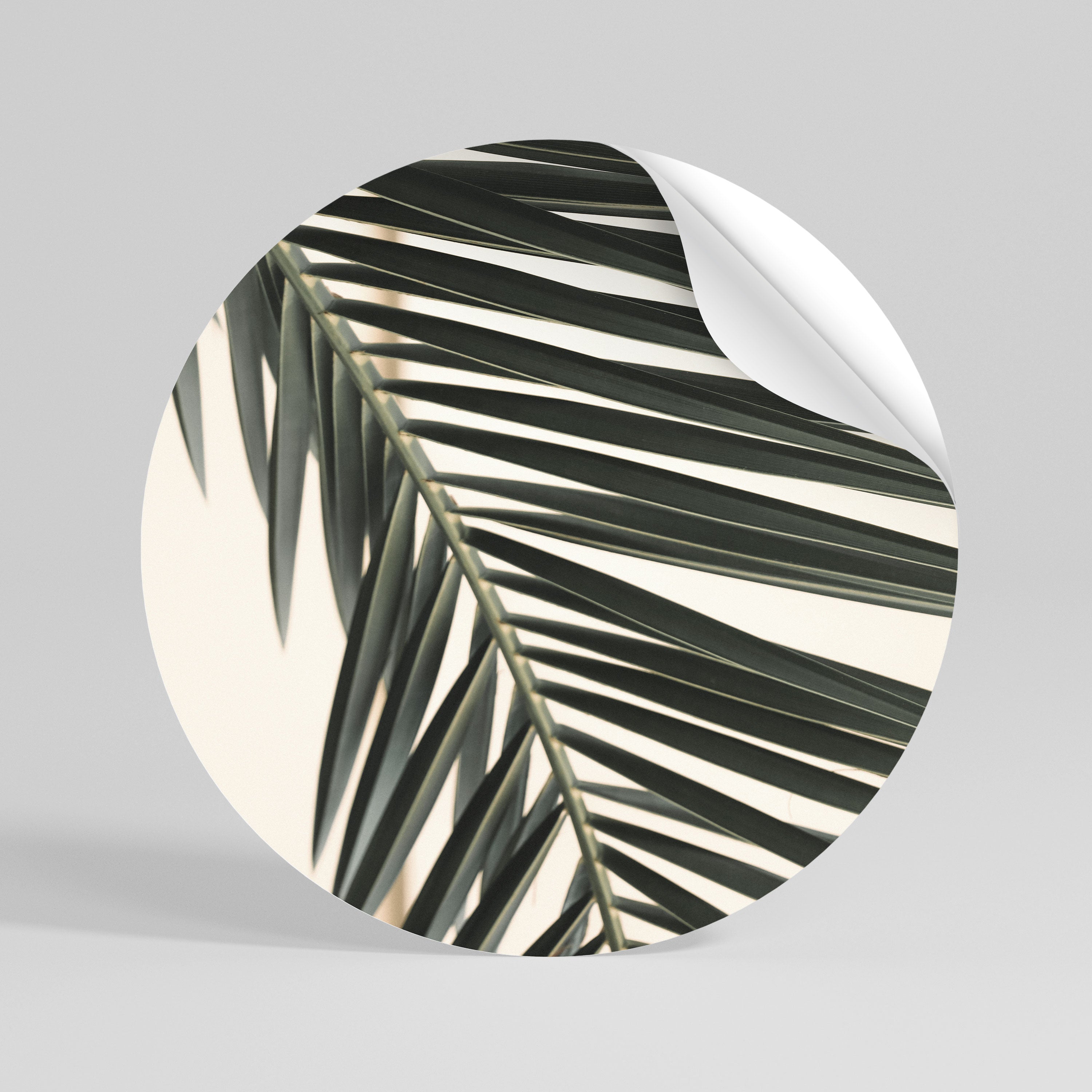 PALM SYMPHONY Vinilo adhesivo redondo