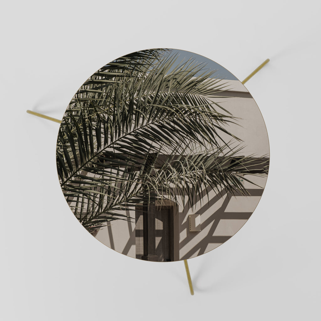 PALM SHADOW DANCE Coffee Table 60