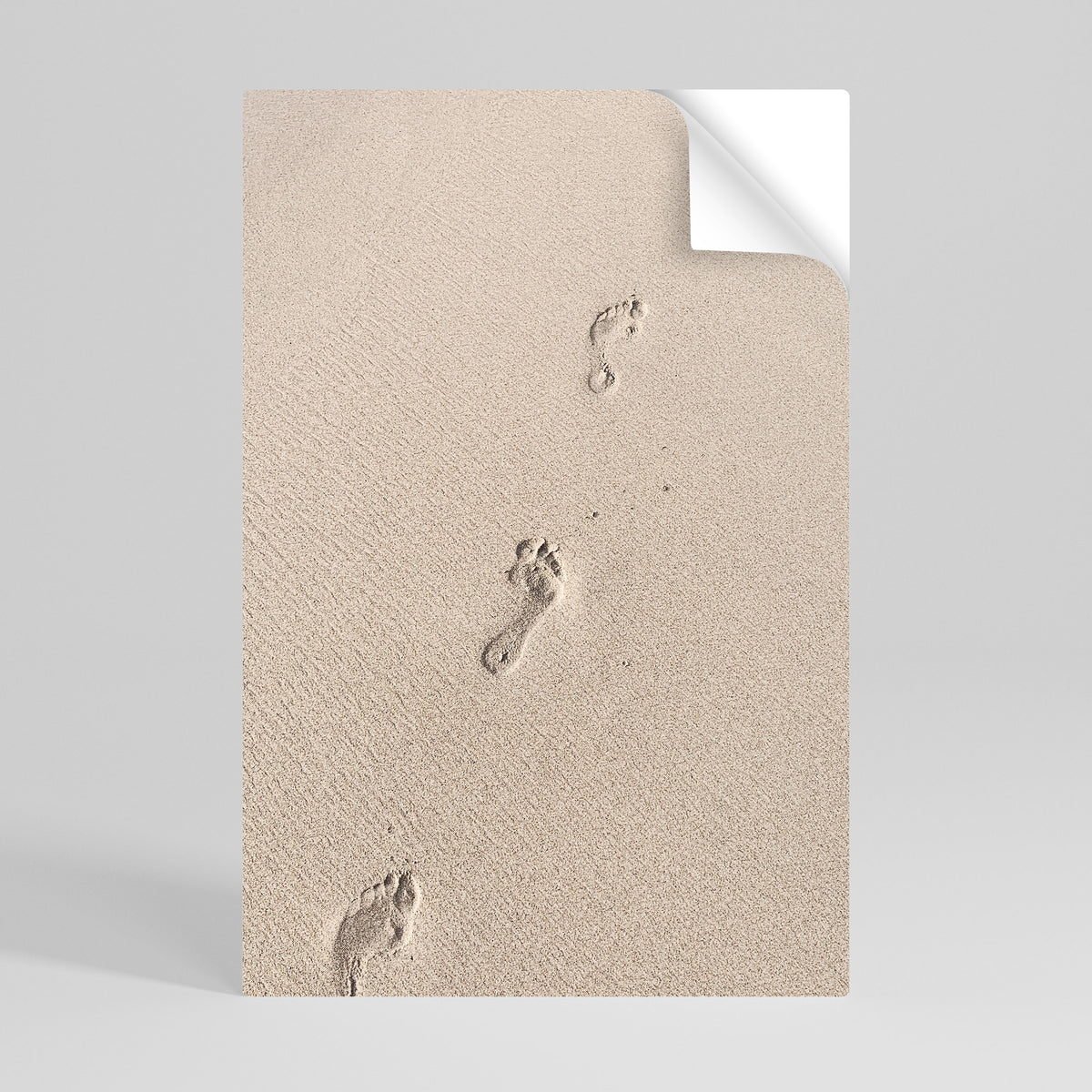 BEACH BOUND PATHWAYS Póster adhesivo vertical