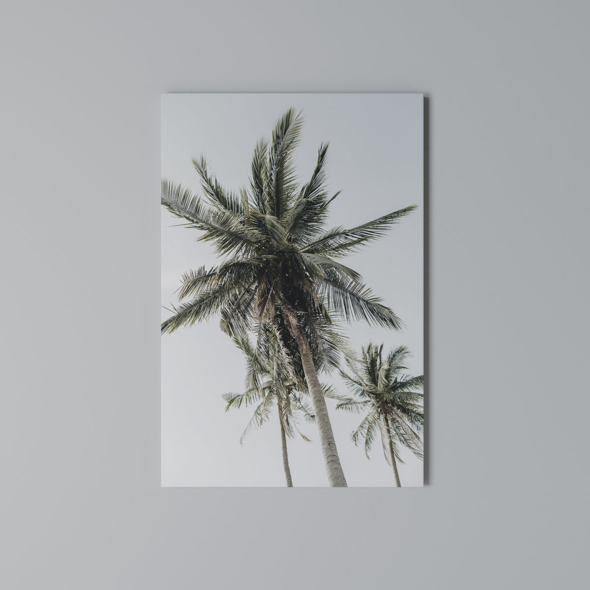 PALM PARADISE SIGHT Vertical Canvas Print