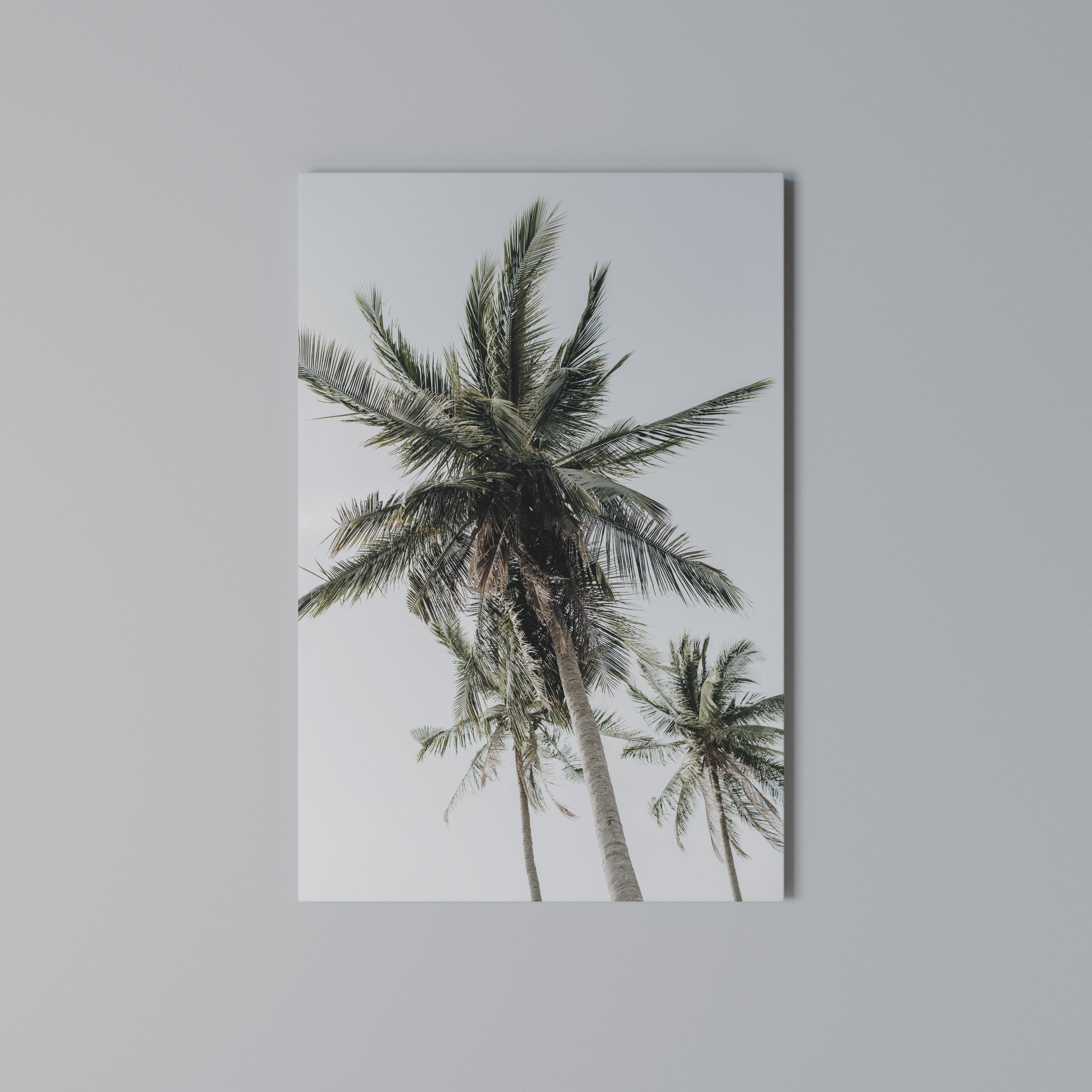 PALM PARADISE SIGHT Vertical Canvas Print