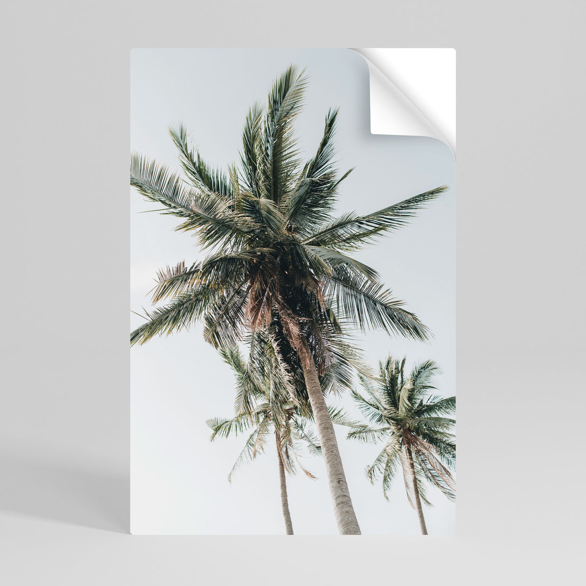 PALM PARADISE SIGHT Póster adhesivo vertical