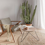 TRANQUIL TIDES Coffee Table 60