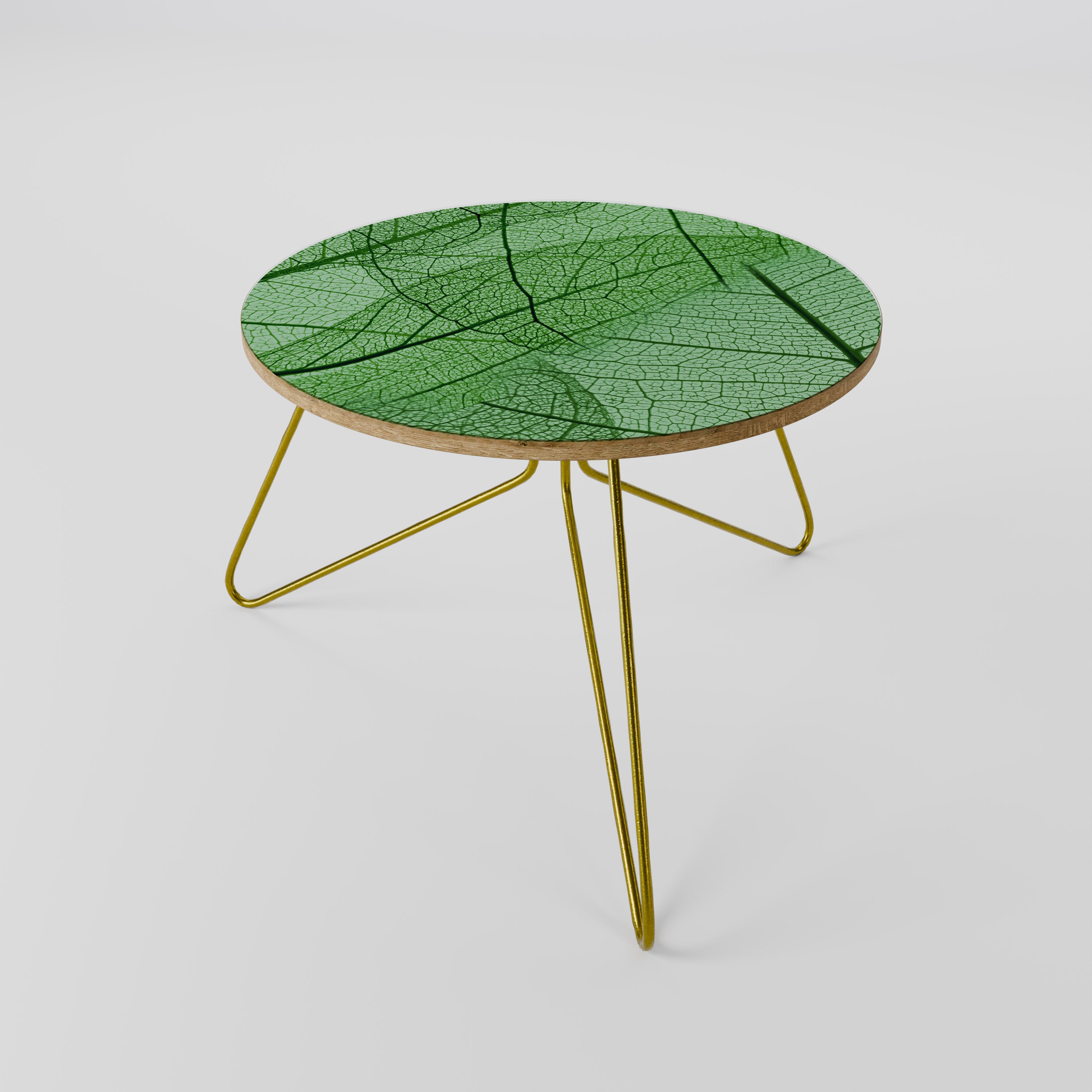 VEINS OF LIFE Coffee Table 60