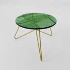 VEINS OF LIFE Mesa de centro