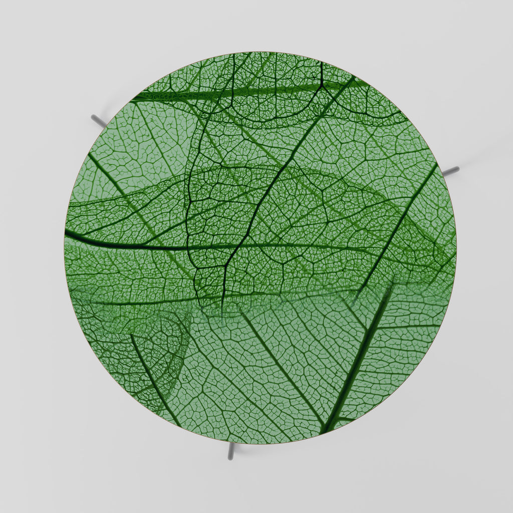 Mesa de centro VENAS DE VIDA 69